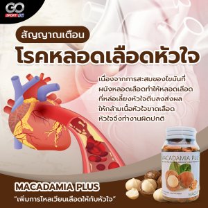 แมคคาเดเมีย พลัส