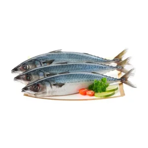 ปลาซาบะไซส์ L กก.ละ